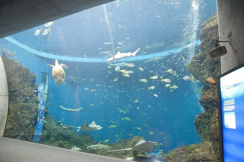 Kamogawa Sea World Hotel Buitenkant foto