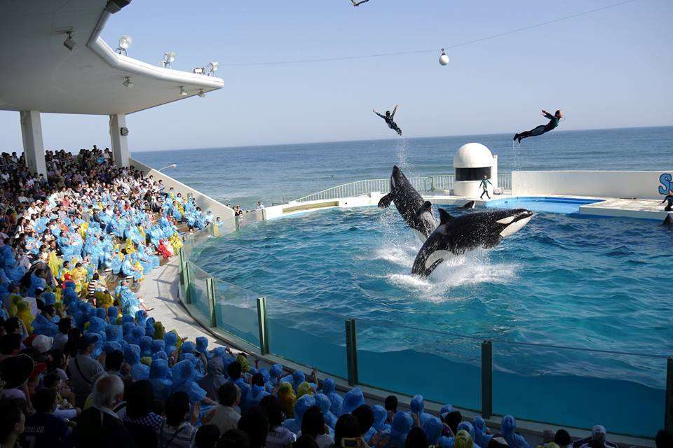 Kamogawa Sea World Hotel Faciliteiten foto